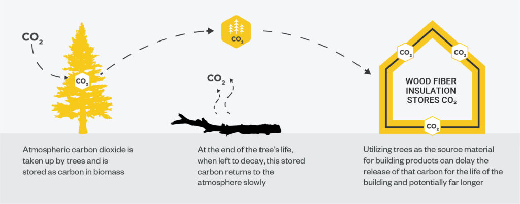 embodied carbon CO2 storing
