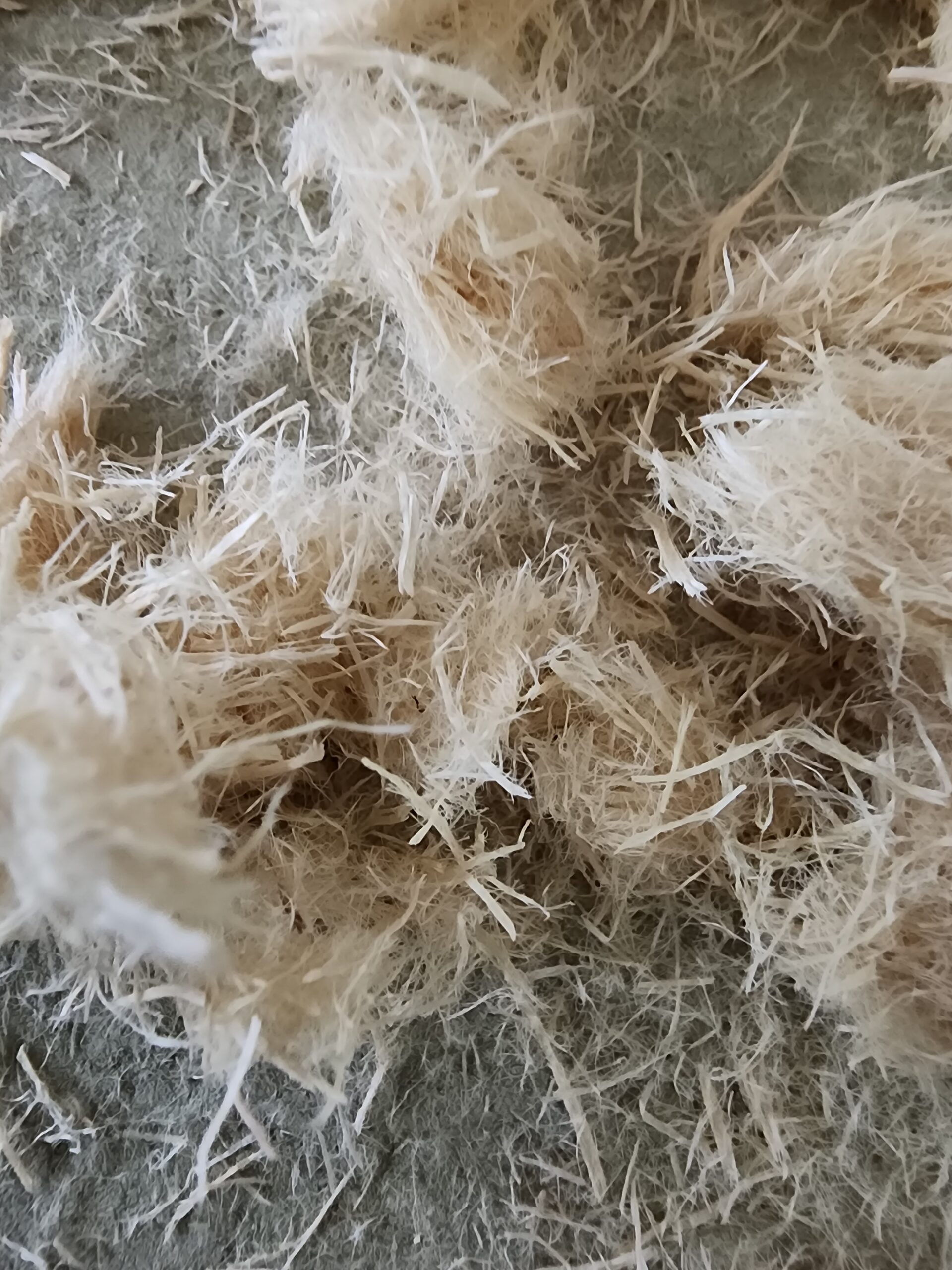 A closeup of wood fibers in the TimberFill product